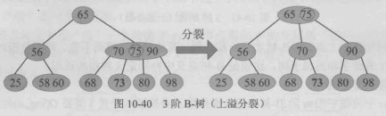 3阶B-树（上溢分裂）