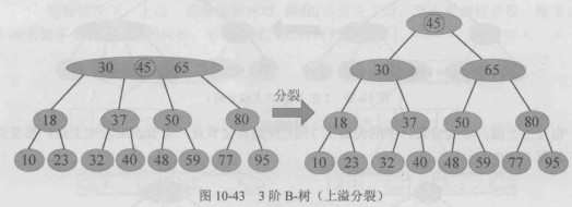 3阶B-树（上溢分裂）